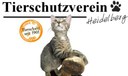 Tierschutzverein Heidelberg und Umgebung e.V.